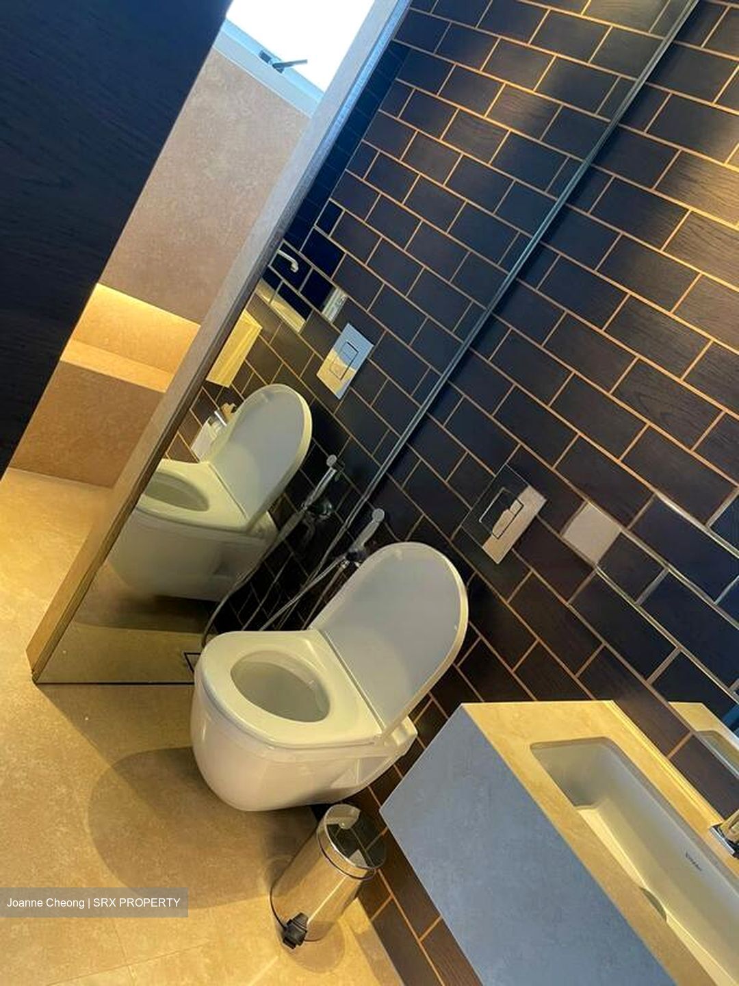 Leonie Towers (D9), Apartment #476496451